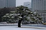 Dcim7571/DSC_0109
