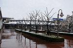 Dcim7571/DSC_0115