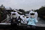 Dcim7571/DSC_0197