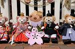 Dcim7580/DSC_1029