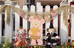 Dcim7581/DSC_1227