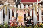 Dcim7581/DSC_1229