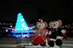 Dcim7584/DSC_1590