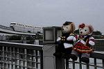 Dcim7588/DSC_1709