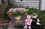 Dcim7591/DSC_2127
