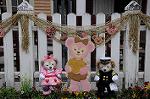 Dcim7591/DSC_2131