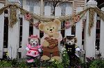 Dcim7591/DSC_2139