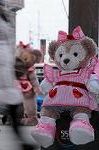 Dcim7591/DSC_2191