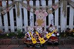 Dcim7592/DSC_2328