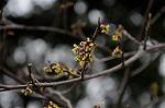 Dcim7594/DSC_2554