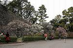 Dcim7594/DSC_2628