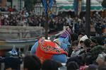 Dcim7598/DSC_1731