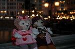 Dcim7598/DSC_1781
