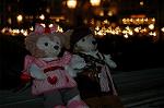 Dcim7598/DSC_1798