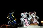 Dcim7599/DSC_1962