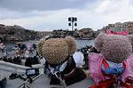 Dcim7604/DSC_3204
