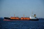 Dcim7606/DSC_3437
