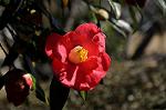 Dcim7607/DSC_3572