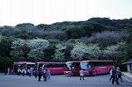 Dcim7608/DSC_3827