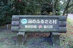 Dcim7608/DSC_3828
