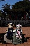 Dcim7609/DSC_3920