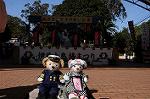 Dcim7609/DSC_3941