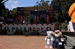 Dcim7610/DSC_4009