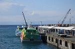 Dcim7611/DSC_4123