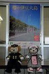 Dcim7611/DSC_4127