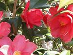 Dcim7612/DSC01574