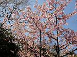 Dcim7612/DSC01582