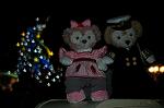 Dcim7616/DSC_2492