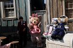 Dcim7617/DSC_4349