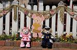 Dcim7618/DSC_4459