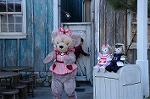 Dcim7622/DSC_5057