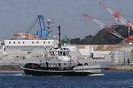 Dcim7625/DSC_5387