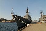 Dcim7633/DSC_0135