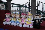 Dcim7644/DSC_6784