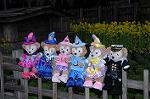 Dcim7645/DSC_6954
