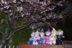 Dcim7645/DSC_6982