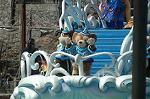 Dcim7647/DSC_3249