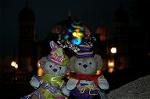 Dcim7650/DSC_3653