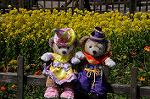 Dcim7652/DSC_7216
