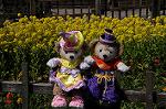 Dcim7652/DSC_7217