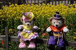 Dcim7652/DSC_7222