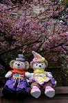 Dcim7652/DSC_7228