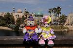 Dcim7653/DSC_7275