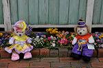 Dcim7656/DSC_7587