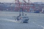 Dcim7658/DSC_7852