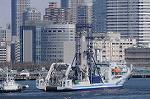 Dcim7658/DSC_7876